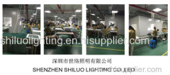 Shenzhen shiluo lighting co., Ltd