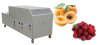 Fruit Pitting Machine for Sale