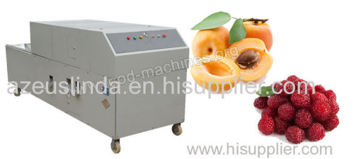Fruit Pitting Machine for Sale