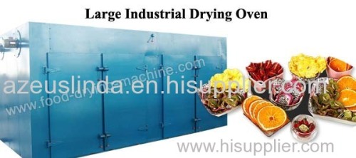 Large Scale Hot Air Drying Oven