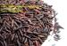 Organic Black Rice From Vietnam For Europe Black Rice High Quality