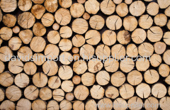 Export import Wood import to shenzhen customs clearance