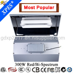 induction plant high quality 300w induction plant grow light