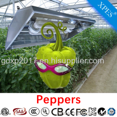 induction plant high quality 300w induction plant grow light