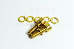 Golden color titanium GR5 SOCKET HEAD CAP SCREWS AND TAPERED SOCKET HEAD CAP SCREWS