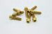 Golden color titanium GR5 SOCKET HEAD CAP SCREWS AND TAPERED SOCKET HEAD CAP SCREWS