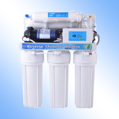 Domestic water filtration system