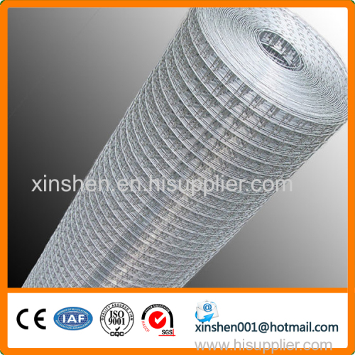 Factory supply high quality galvanized welded wire mesh