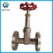 Marine Bronze Flange Gate Valve