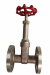 Marine Bronze Flange Gate Valve