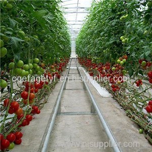 150-280micron Greenhouse Film Product Product Product