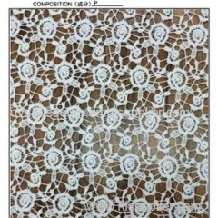 French Polyester Embroidery Lace/lace Fabric/swiss Lace (S1560)