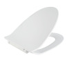 Sanitary Ware V Shape Soft Close Elongated Toilet Seat Supplier