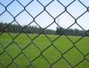 Chain Link Fence /pvc Coated Chain Link Fence/galvanized Chain Link Fence factory