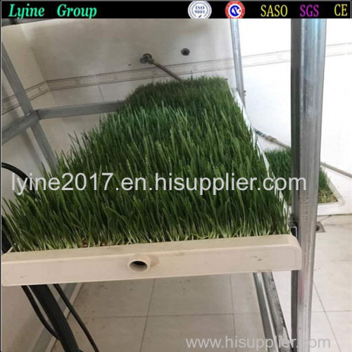 paddy rice seedling tray/rice planter