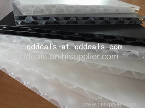 4mm 8mm 10mm 12mm PP Bubble Guard Board