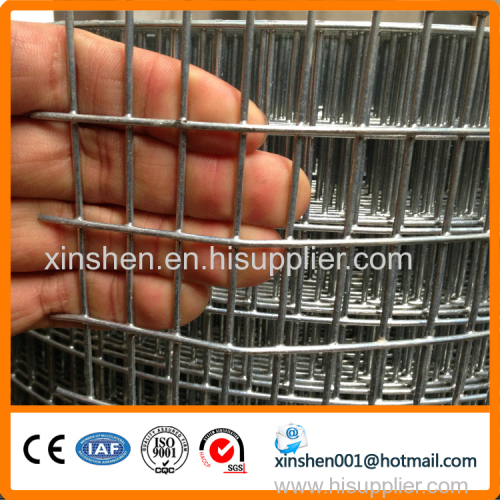 electric galvanized welded wire mesh
