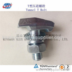 t type bolt/t head bolt/ t anchor bolt/ hammer head bolt