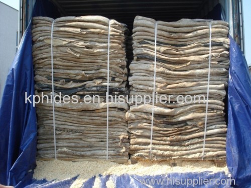 Quality Wet Blue and Dry Salted Cow Goat Sheep and Bufallo Hides
