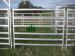/cheap welded cattle panels for sale