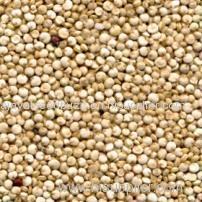 High Quality Quinoa Seeds