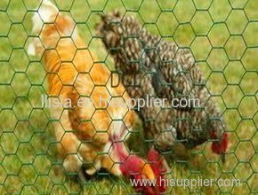 Hot-dipped galvanized or PVC coated hexagonal wire mesh/chicken wire