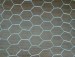 Hot-dipped galvanized or PVC coated hexagonal wire mesh/chicken wire