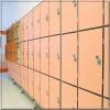 Fireproof Easy to Clean High Pressure Laminate Board Supermarket Lockers