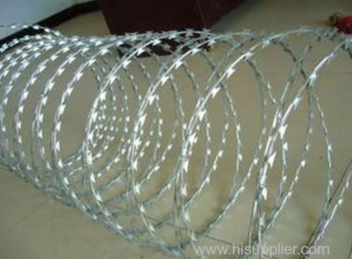 SS barbed wire/metal wire