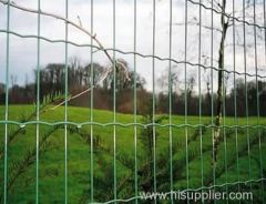 Holland Wire Mesh/wire cloth/wire screen/steel mesh/metal mesh