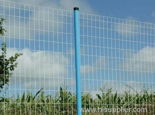 Euro Fence/Wire Fencing/wire mesh/steel mesh