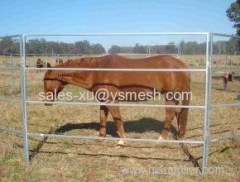 Hot dipped galvanized livestock metal fence panels / cattle panel horse panel yard