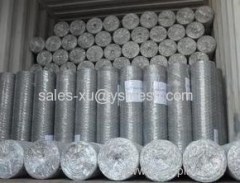 Cheap gabion mesh for gabion cages/gabion basket/gabion wall made in China