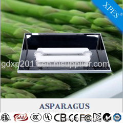 2017 hot new selling induction plant grow light for vegetative growth