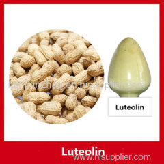 Peanut Shell Extract Luteolin 98%