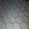 chicken wire mesh/hexagonal wire mesh