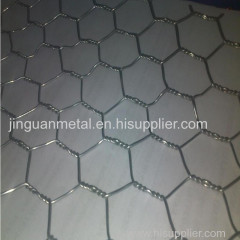 chicken wire mesh/hexagonal wire mesh