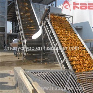 Stainless Steel Fruit And Vegetable Scraper Paddle Lifting Elevator Conveyor