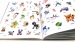Children's automatic die-cut sticker book