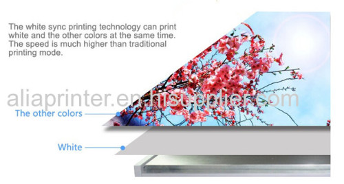 Mass production!!! metal cabinet 2513 uv printer with high speed