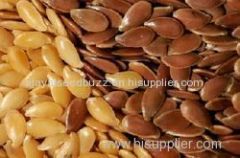 High Quality Flax Seeds