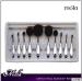 Professional 10 Pcs silver handler Soft Oval Toothbrush Makeup Brush Sets