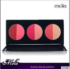 Half-moon blush hot sale 6 color blush for fair skin oem factory multi color blusher