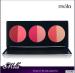 Half-moon blush hot sale 6 color blush for fair skin oem factory multi color blusher