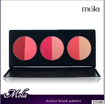 Half-moon blush hot sale 6 color blush for fair skin oem factory multi color blusher