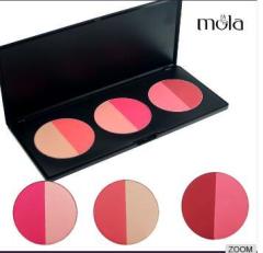 Half-moon blush hot sale 6 color blush for fair skin oem factory multi color blusher