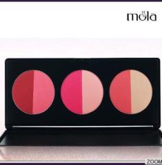 Half-moon blush hot sale 6 color blush for fair skin oem factory multi color blusher