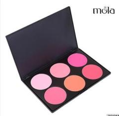 OEM high quality powder 6 color compact blush makeup kit best matte blush