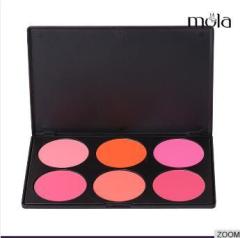 OEM high quality powder 6 color compact blush makeup kit best matte blush