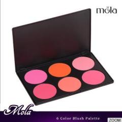 OEM high quality powder 6 color compact blush makeup kit best matte blush